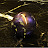 avatar of @farhan-vs9dd
