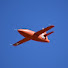 va6R-GY6QyY-channel-avatar-Hecht Speed