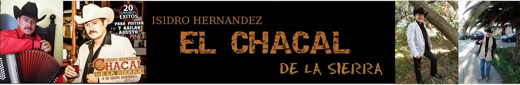 EL CHACAL DE LA SIERRA YouTube channel avatar