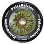 PulseOVision logo