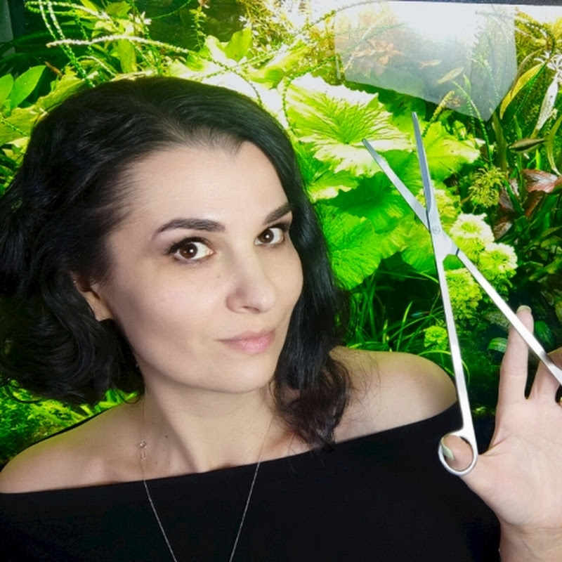 Эстетика воды Logo