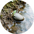 WTgyaJsnWjs-channel-avatar-Riverbank Serenity Loops