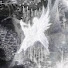 5A-6DiR4oJw-channel-avatar-ялоль๋࣭⭑