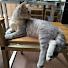 PQ61D_unciQ-channel-avatar-PawzyTV