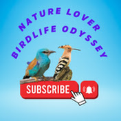 Nature Lover Birdlife Odyssey