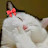 @Tasneem-g3t