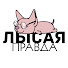 sChqajOxpsI-channel-avatar-Лысая Правда