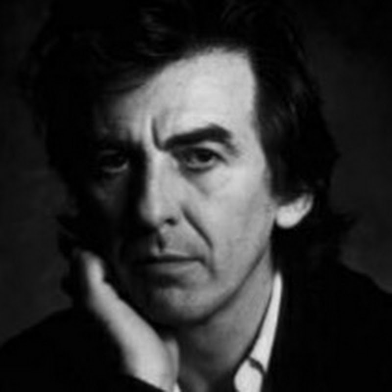 MrMoonligttのサムネイル