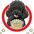 vfFrTh792gs-channel-avatar-CrushinSnacks