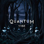 Quantum Vibe logo
