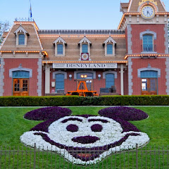Disneyland POV