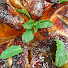 dxWw9G1lnO8-channel-avatar-Chef Kayum Kitchen