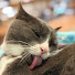 2ZS0rV_t_Wg-channel-avatar-Purr & Pause