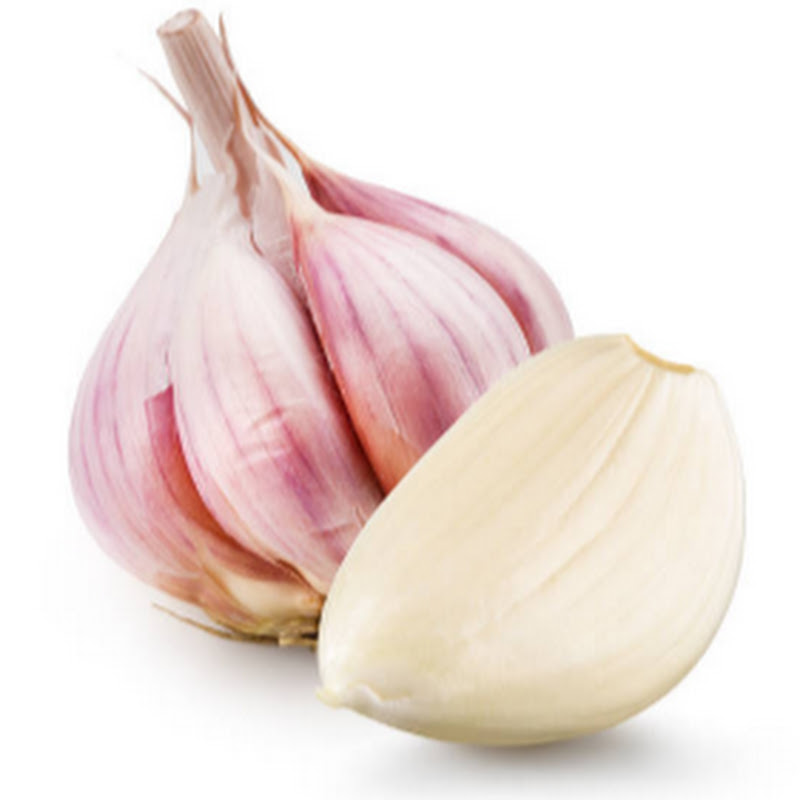 MrGarlic