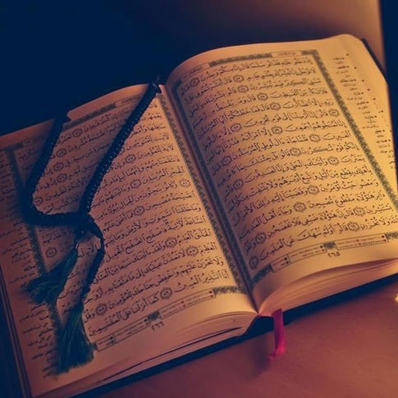 Quran With No Ads