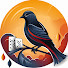 vxY_PVDKBes-channel-avatar-Birds on Board