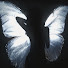 RW01UeJLZts-channel-avatar-• Iviexoxo.