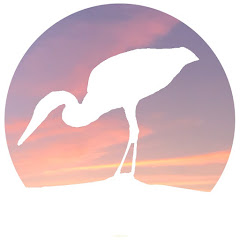 Blue Heron Fishing