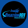 What could Aviation101 buy with $100 thousand?