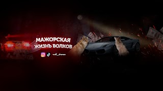 Заставка Ютуб-канала «Мажорская жизнь волков»
