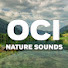 wFWNKMkAOgg-channel-avatar-OCI Nature Sounds