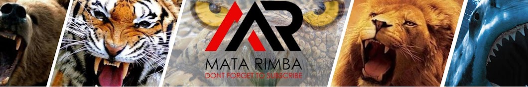 Mata Rimba YouTube channel avatar