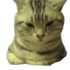 JDM【ジャパドリ】