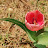 @포도-v5n