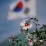 lPhMgqB5pAE-channel-avatar-무궁환국