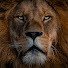 sRw8ROlo_4A-channel-avatar-cwgking30