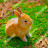 @Omar-l4n4d