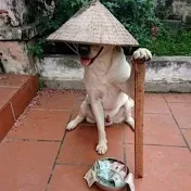 古代の英雄