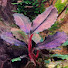 b7SQqGgW_pY-channel-avatar-30cube