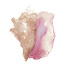 ZXBF-pm2-Ss-channel-avatar-mishii