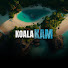 TIk_KApJFzg-channel-avatar-KoalaKam