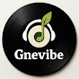 Gnevibe logo