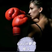 Gavie拳击格斗