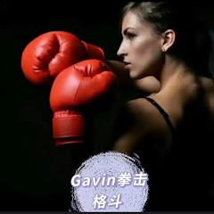 Gavie拳击格斗