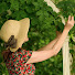 eq1jMwB1EJ0-channel-avatar-Ellsey Kay Gardens