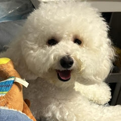 Queen's Soufflé Bb梳乎厘アイコン画像