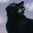 STO-su0VX0w-channel-avatar-HYPER LOCAL