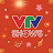 VTV SHOWS