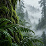 2tLRxwb1Xps-channel-avatar-Mistfern