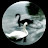 @khalid1980mokdad