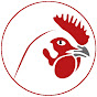 Ecochicks Eggs Incubators logo