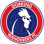 Dorking Wanderers  logo