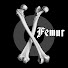 0yxOpf6-iMU-channel-avatar-Femur