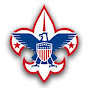 Scouting Troop 161 logo