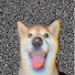 DxNKiUpv9ak-channel-avatar-friy