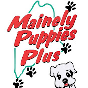 Mainely Puppies Plus, LLC